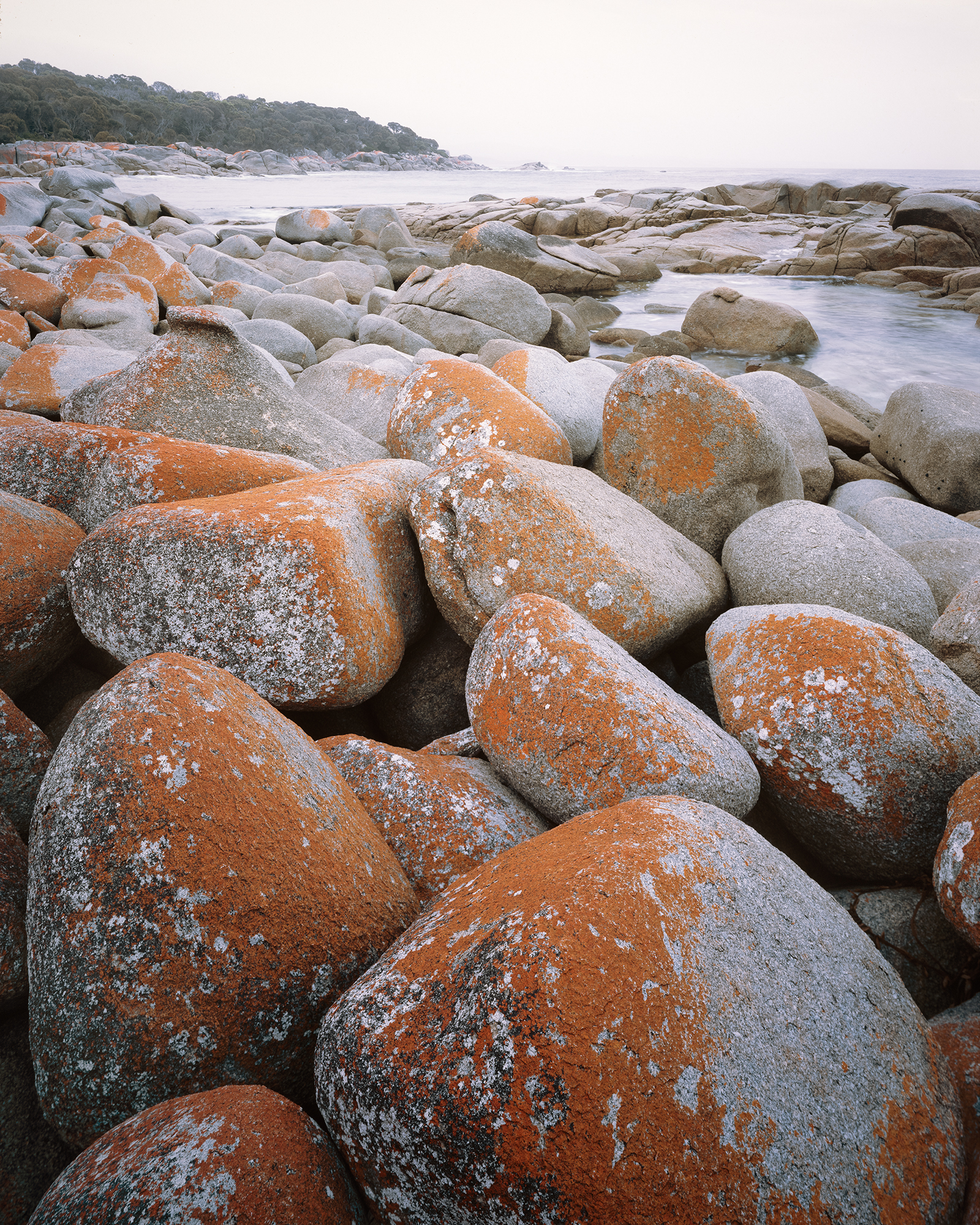 Lichen covered granite, coastal scene